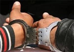 دستگیری ۲ سارق مسلح در جنوب غرب پایتخت