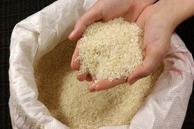 تا چهار ماه آینده برنج خارجی وارد نمی‌شود