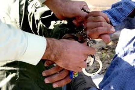 پشه مخوف در آستارا دستگیر شد