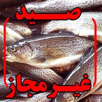 صیادان غیرمجاز در رودخانه رستم آباد دستگیر شدند صیادان غیرمجاز در رودخانه رستم آباد دستگیر شدند
