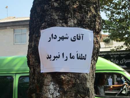 آقای شهردار لطفا ما را نبرید! +تصاویر آقای شهردار لطفا ما را نبرید! +تصاویر