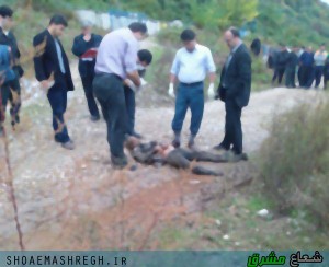 photo_2015-11-14_02-44-28