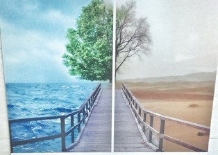 شگفتی در رشت/ مشکل کم آبی حل شد+عکس