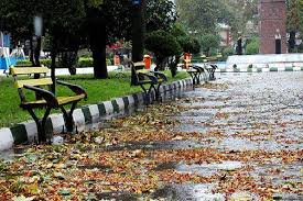 هواشناسی: برف و باران کشور را فرا می گیرد