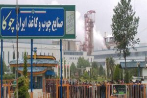نماینده تالش عامل تعطیلی  کارخانه چوکا!