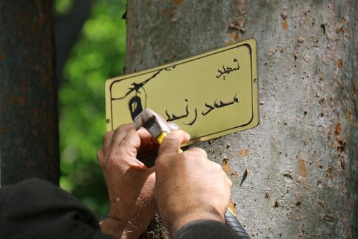 پلاک کوبی درختان بوستان مفاخر به نام شهدا +تصاویر