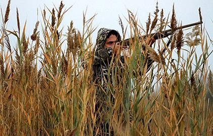 محکومیت سنگین شکارچیان گراز در رضوانشهر محکومیت سنگین شکارچیان گراز در رضوانشهر