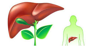 ۹ خوراکی گیاهی، پاک کننده کبد از سموم ۹ خوراکی گیاهی، پاک کننده کبد از سموم ۹ خوراکی گیاهی، پاک کننده کبد از سموم ۹ خوراکی گیاهی، پاک کننده کبد از سموم