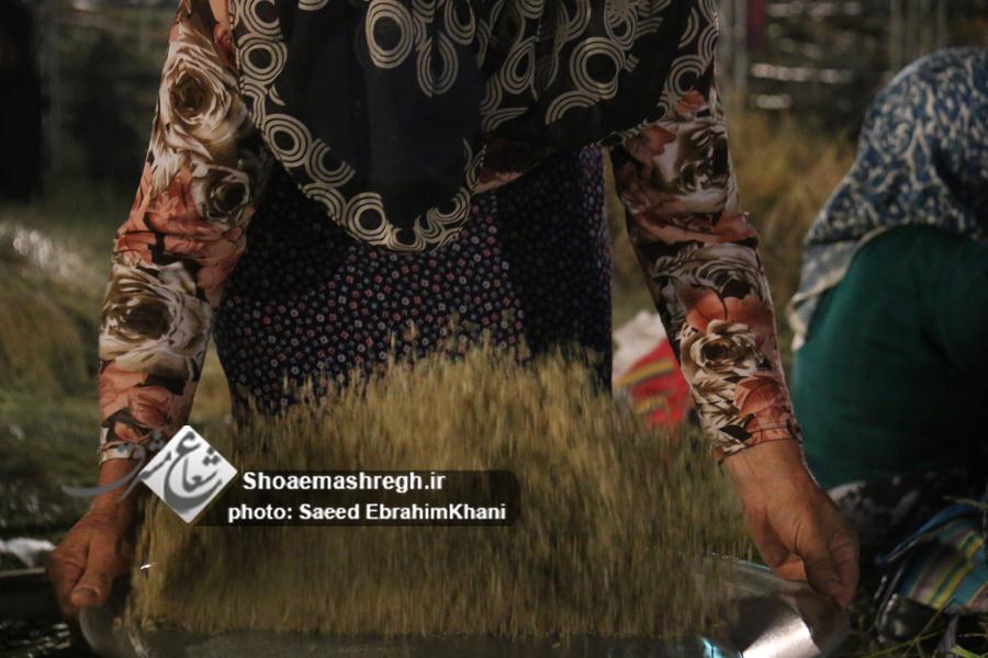 گزارش تصویری سومین روز جشنواره جوکول شهرداری رشت