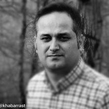 ابتدا مرداب را میپزند،سپس میخورند!