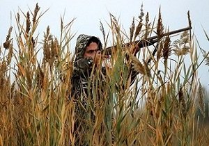 اسلحه‌های ترکیه در کمین پرندگان مهاجر گیلان
