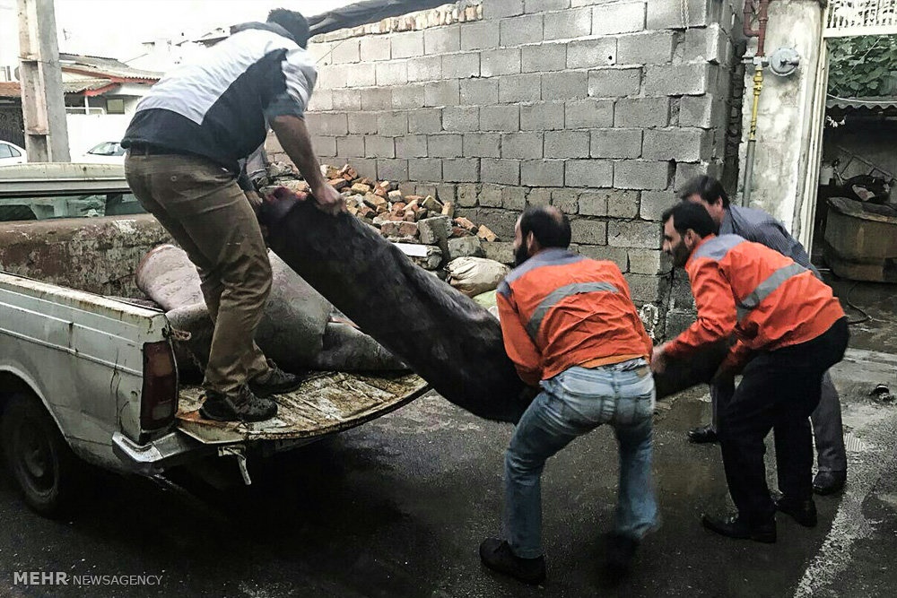 وضعیت مناطق سیل‌زده آستارا؛ ۳ روز بعد از طغیان رودخانه به روایت تصویر