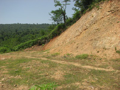 ۸ ماه محکومیت حبس به جرم تخریب محیط زیست در شهرستان فومن ۸ ماه محکومیت حبس به جرم تخریب محیط زیست در شهرستان فومن