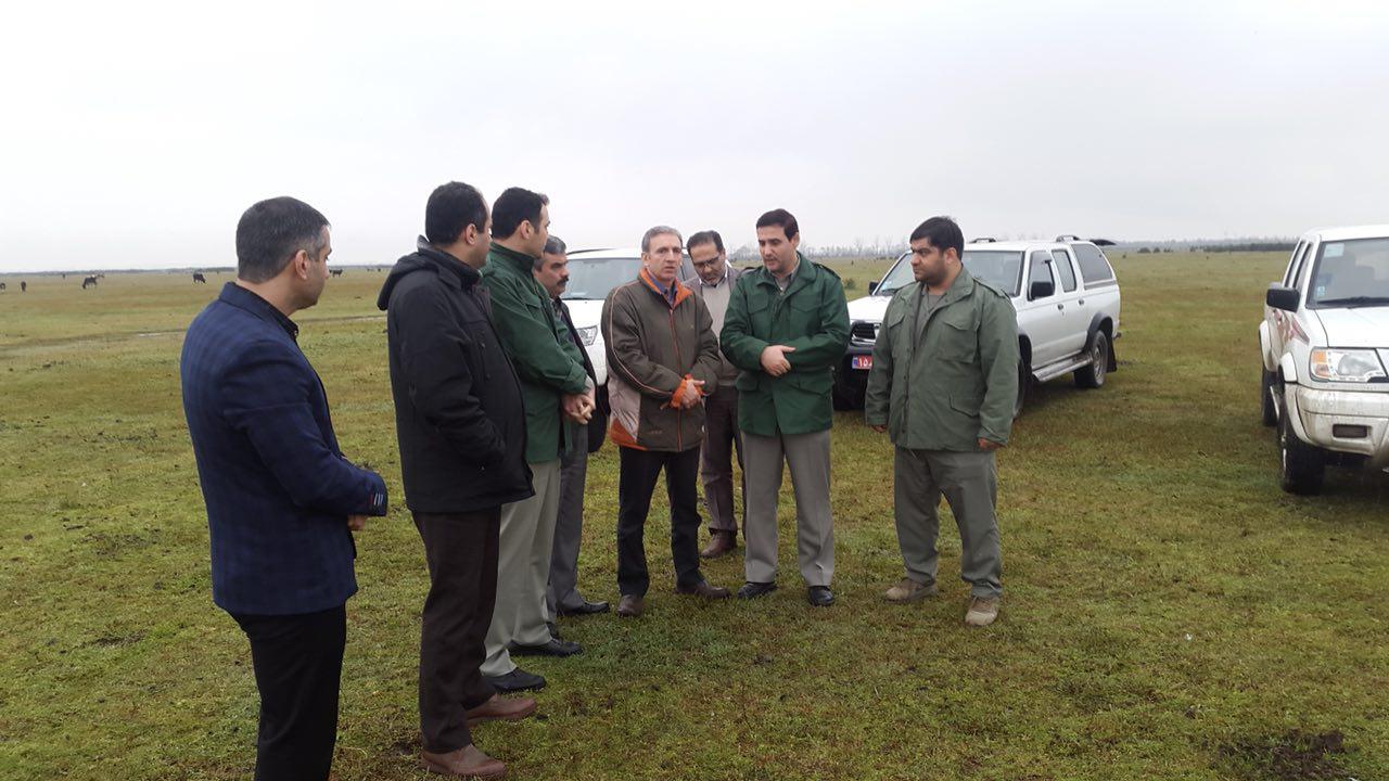 بازدید معاونت سازمان دامپزشکی کل کشور و مدیرکل حفاظت محیط زیست گیلان و مدیرکل دامپزشکی استان از پارک ملی بوجاق بازدید معاونت سازمان دامپزشکی کل کشور و مدیرکل حفاظت محیط زیست گیلان و مدیرکل دامپزشکی استان از پارک ملی بوجاق