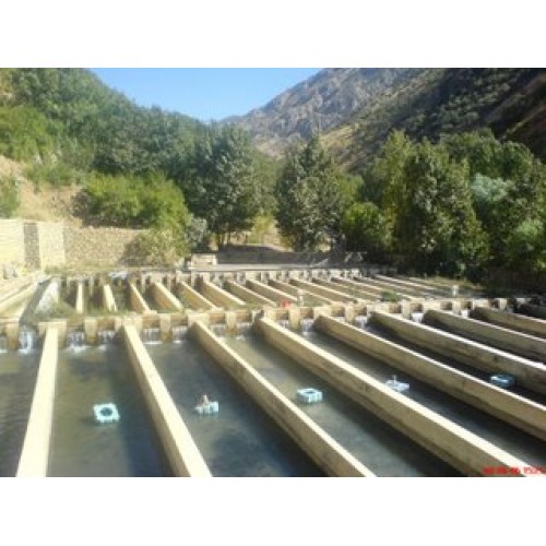 رشت بزرگترین شهر آبزی پروری در کشور