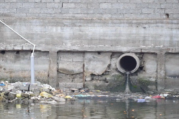 پسابها وضعیت تالاب انزلی را نگران‌کننده کرده‌اند