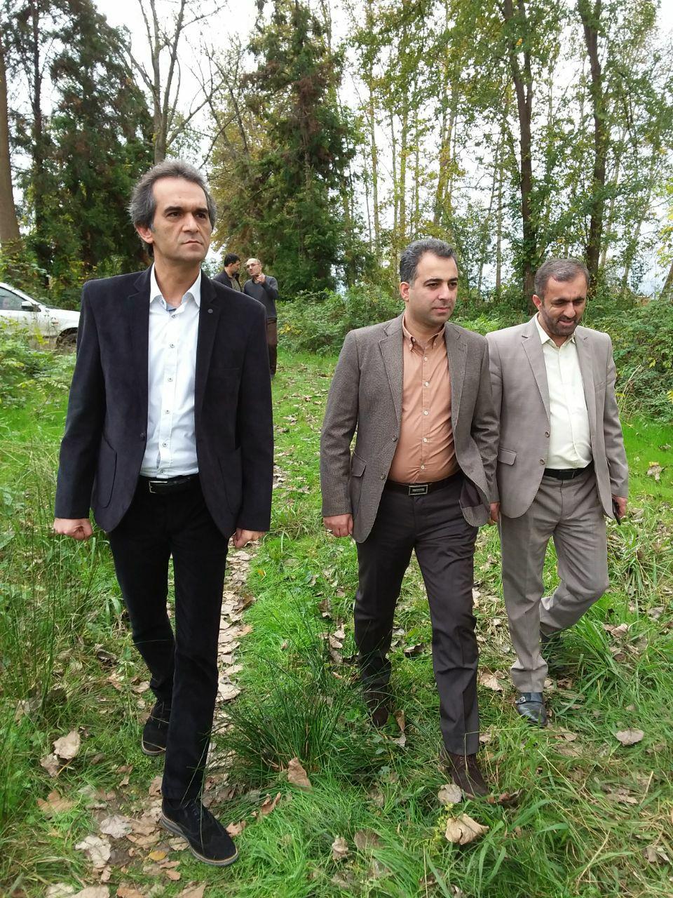 پاکسازی تالاب عینک ازگیاه مهاجم سنبل آبی بامشارکت منطقه۴ شهرداری رشت وموسسه محیط زیستی سرزمین ایده آل ما