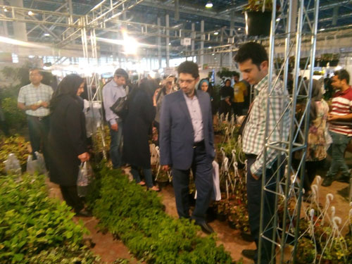 حضور مدیر عامل سازمان سیما منظر و فضای سبز شهری شهرداری رشت در اولین همایش تخصصی باغ بام و دیوار سبز حضور مدیر عامل سازمان سیما منظر و فضای سبز شهری شهرداری رشت در اولین همایش تخصصی باغ بام و دیوار سبز
