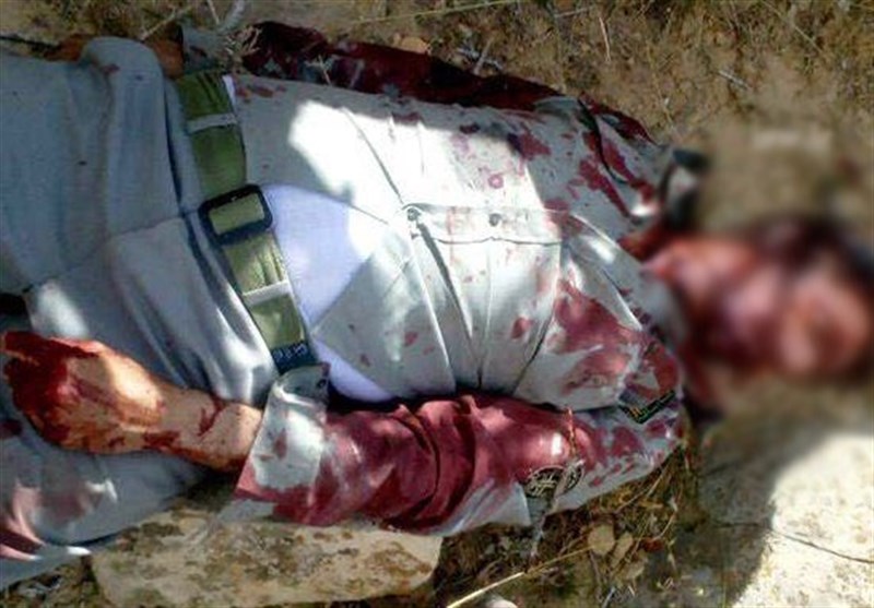 درگیری ‌شکارچیان غیرمجاز با ‌۲ محیط‌بان گیلانی؛‌ حال یک‌ محیط‌بان‌ وخیم است