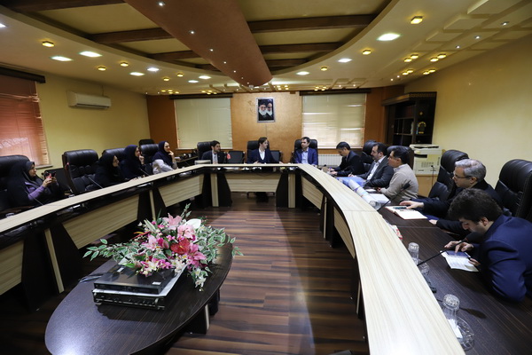 همکاری های مشترک برای اجرایی نمودن ایده های خلاقانه