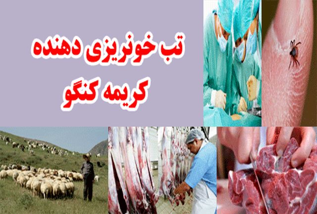 موج جدید «تب کریمه کنگو» با ۵ قربانی/ مردم از مراکز مجاز گوشت بخرند موج جدید «تب کریمه کنگو» با ۵ قربانی/ مردم از مراکز مجاز گوشت بخرند
