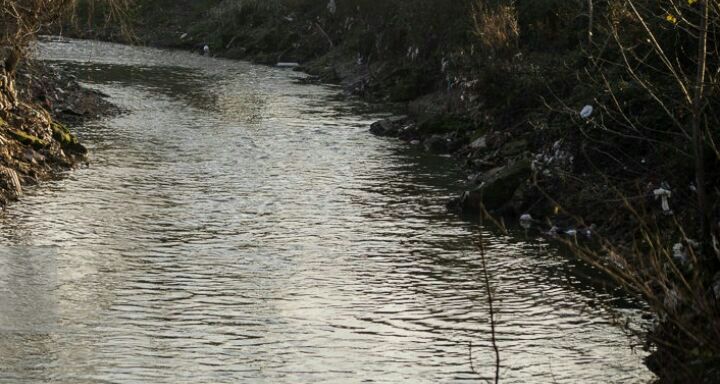 اقداماتی از سوی شورای شهر برای کاهش مشکلات زیست محیطی رشت اقداماتی از سوی شورای شهر برای کاهش مشکلات زیست محیطی رشت