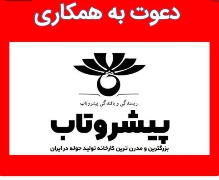 دعوت به همکاری در گروه ریسندگی و بافندگی پیشروتاب دعوت به همکاری در گروه ریسندگی و بافندگی پیشروتاب