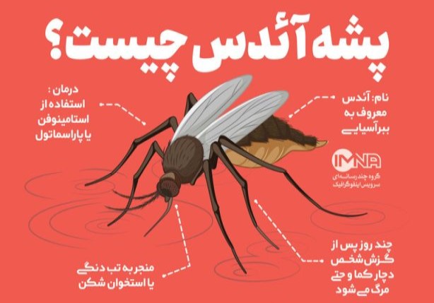 پشه آئدس چیست؟+ درمان و علائم نیش و راهکارهای مقابله