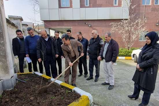 کاشت نهال به نام اهدا کننده اعضا در روز درختکاری کاشت نهال به نام اهدا کننده اعضا در روز درختکاری