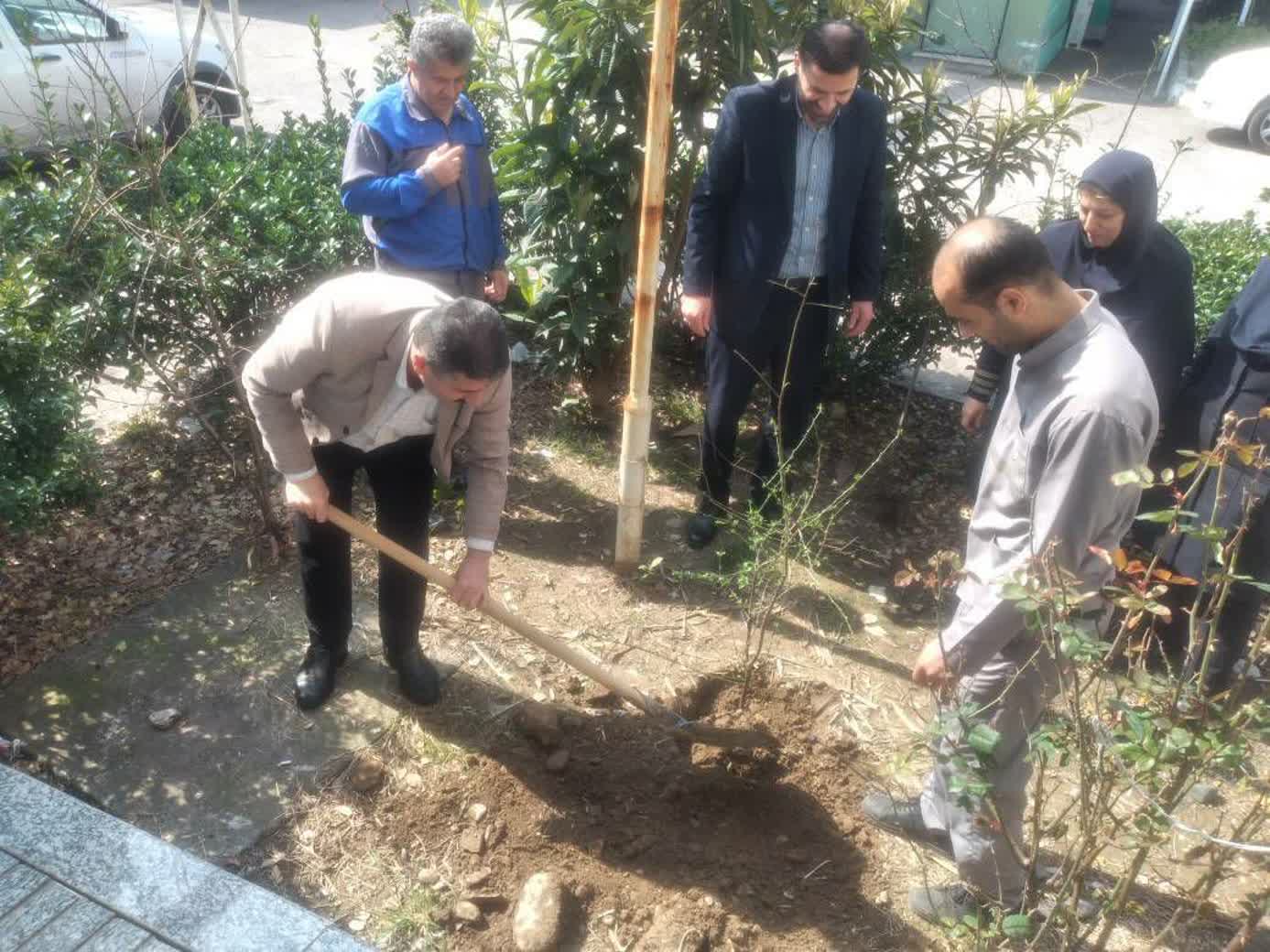 مراسم کاشت نهال در مرکز آموزشی درمانی دکتر حشمت برگزار شد