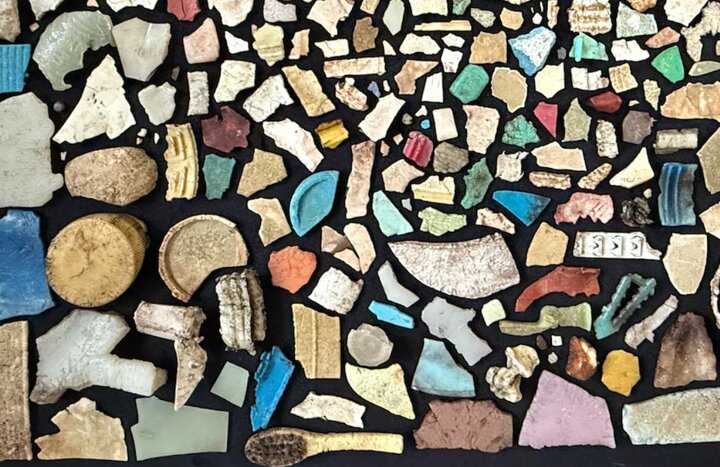 تکه‌های پلاستیک در شکم یک پرنده/ آلودگی پلاستیک به پرندگان این جزیره هم رسید/ عکس