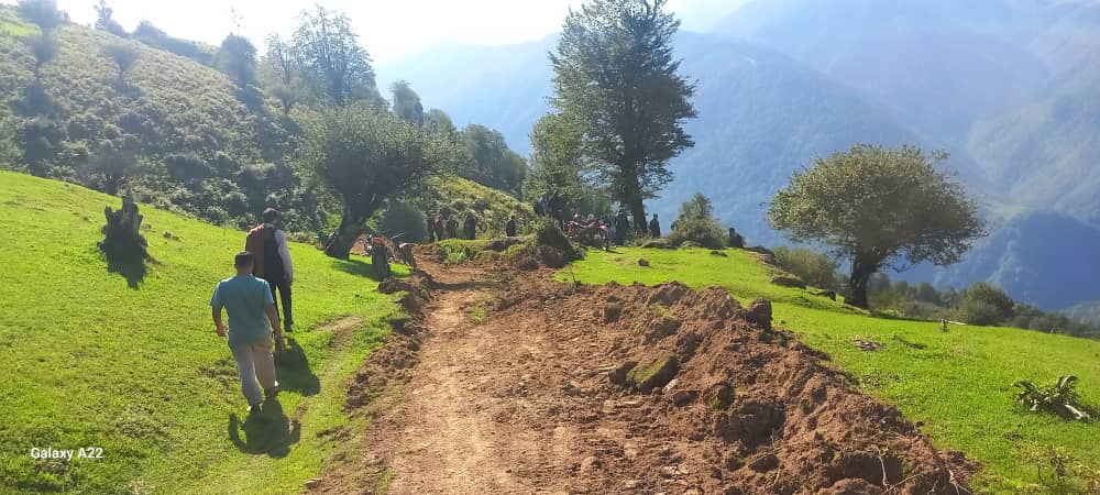 شلیک به قلب جنگل‌های هیرکانی