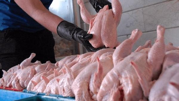 پرواز قیمت مرغ در گیلان بالاتر از نرخ مصوب