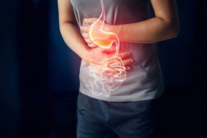 این ساندویچ‌ها را از بیرون نخرید